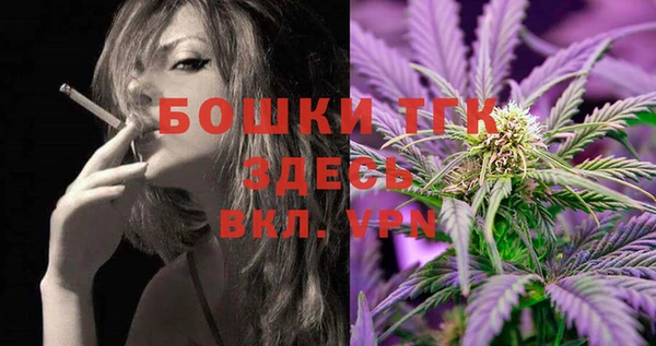 прущие грибы Белокуриха