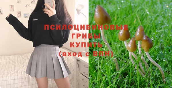 молекула духа Белоозёрский