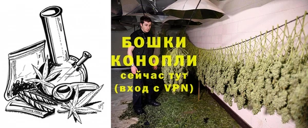 молекула духа Белоозёрский