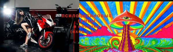 прущие грибы Белокуриха