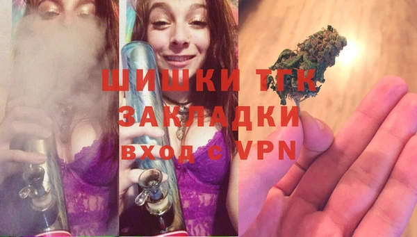 прущие грибы Белокуриха