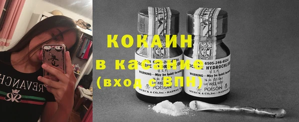 молекула духа Белоозёрский