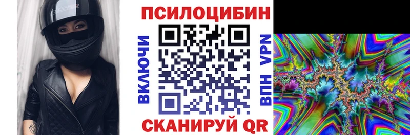 Псилоцибиновые грибы Psilocybe  Борисоглебск 